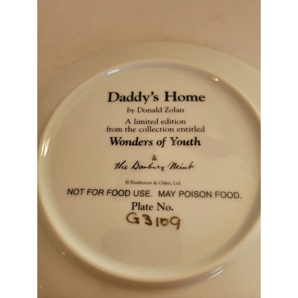 Vintage Danbury Mint Daddy's Home by Donald Zolan Plate w/ COA & Box‎ #G3109